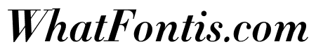Didot Bold Italic(11pt Master)