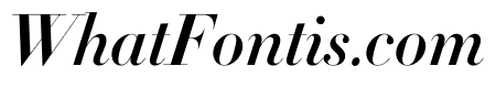 Didot Bold Italic(42pt Master)