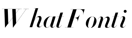 Didot Bold Italic(96pt Master)
