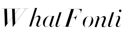 Didot Light Italic(96pt Master)