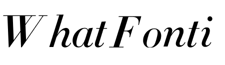 Didot Medium Italic(16pt Master)