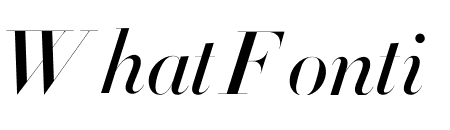 Didot Medium Italic(96pt Master)