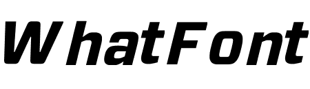 Forza ScreenSmart Black Italic