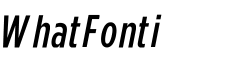Gotham Condensed ScreenSmart Medium Italic
