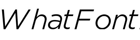 Gotham ScreenSmart Light Italic