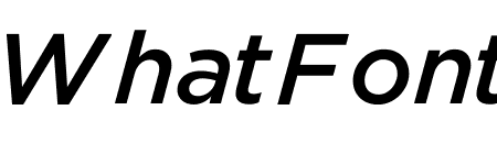 Gotham ScreenSmart Medium Italic