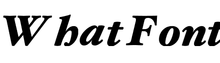 Hoefler Text Black Italic