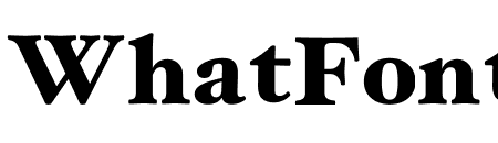 Hoefler Text Black