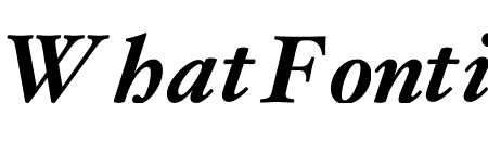 Hoefler Text Bold Italic