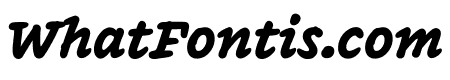 Inkwell Serif Black Italic