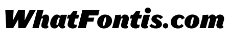 Leviathan Black Italic