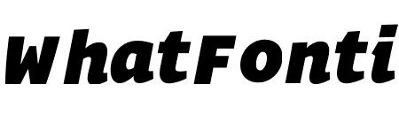 Operator Extra Black Italic