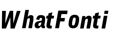 Ringside Compressed Black Italic