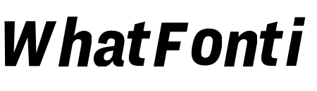Ringside Condensed ScreenSmart Black Italic