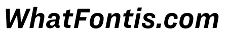 Ringside Narrow Office Bold Italic