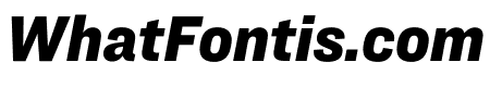 Ringside Narrow Ultra Italic