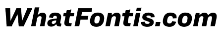 Ringside Regular Black Italic