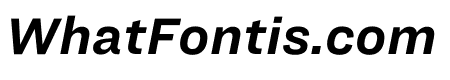 Ringside Regular Office Bold Italic