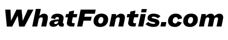 Ringside Wide Ultra Italic