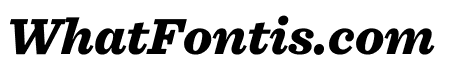 Sentinel Black Italic
