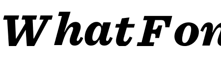 Sentinel ScreenSmart Black Italic