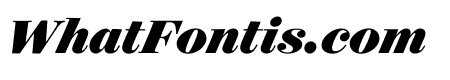 Surveyor Display Black Italic