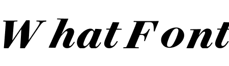 Surveyor Display Bold Italic