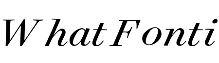 Surveyor Display Book Italic