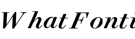 Surveyor Display Medium Italic