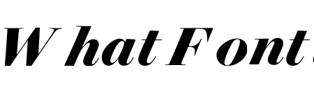 Surveyor Fine Bold Italic