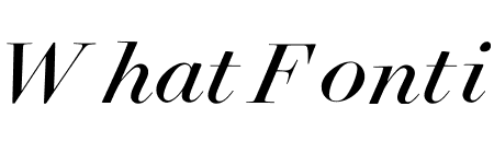 Surveyor Fine Book Italic