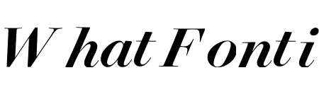 Surveyor Fine Medium Italic