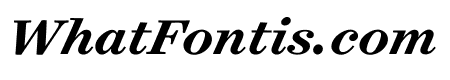 Surveyor Office Bold Italic