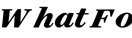 Surveyor ScreenSmart Black Italic