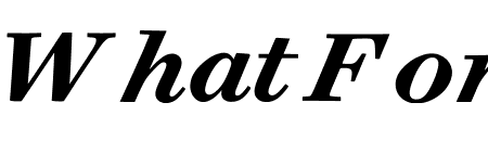 Surveyor ScreenSmart Bold Italic