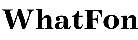 Surveyor ScreenSmart Bold