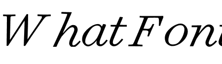 Surveyor ScreenSmart Light Italic