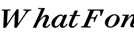 Surveyor ScreenSmart Medium Italic