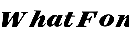 Surveyor Text Black Italic