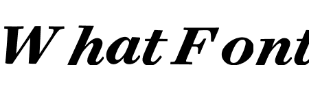 Surveyor Text Bold Italic