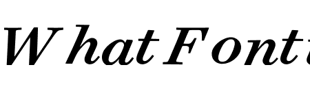 Surveyor Text Medium Italic