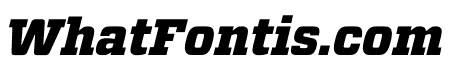 Vitesse Black Italic