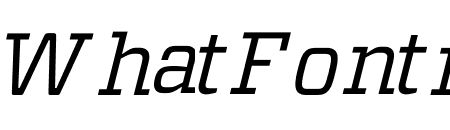 Vitesse ScreenSmart Book Italic