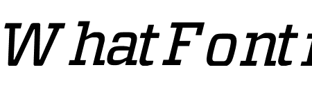Vitesse ScreenSmart Medium Italic