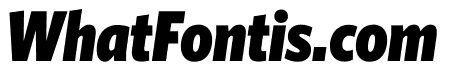 Whitney Condensed Black Italic