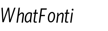 Whitney Condensed Book Italic