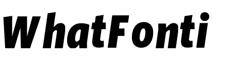 Whitney Condensed ScreenSmart Black Italic