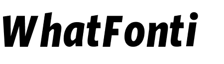 Whitney Condensed ScreenSmart Bold Italic