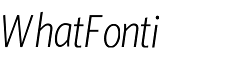 Whitney Condensed ScreenSmart Light Italic