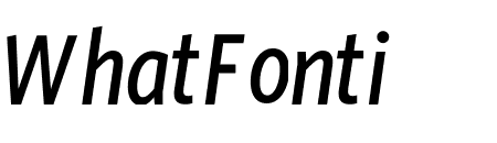 Whitney Condensed ScreenSmart Medium Italic
